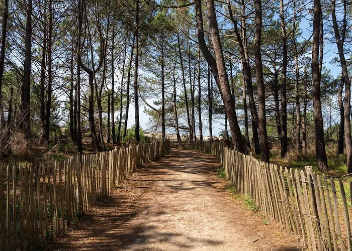 Apartamento Cosy à Bourg, 6 Pers, Proche Centre Et Lac, Ménage Inclus - Fr-1-319-576